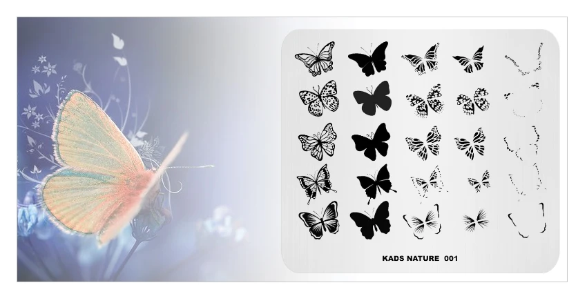 KADS-NATURE-001_05