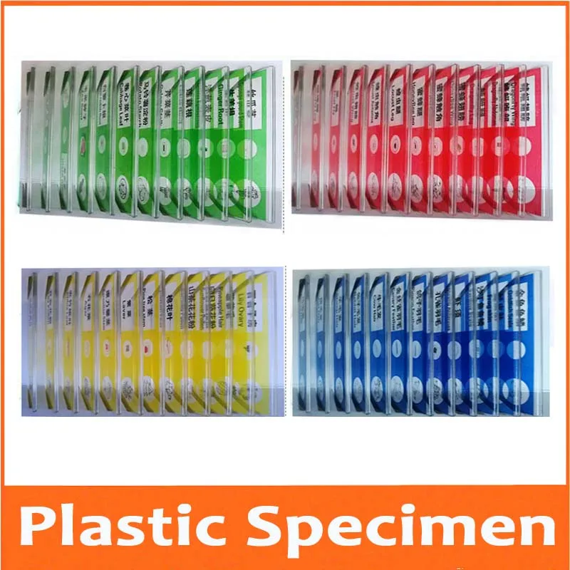 50pcs Microscope Slides Biological Specimen Flower Insects Kids Science Toy 