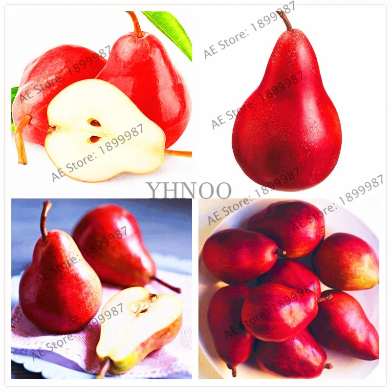 

30particles Rare Mini Red Pear Bonsai Asian Pear Plant Heirloom Delicious Sweet Pear Fruit Plantas Easy Grow For Home Garden