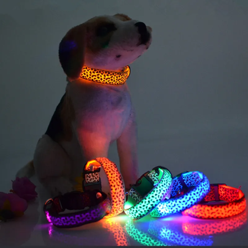 cool small cat sunglasses metal frame glasses multi colors ragdoll night safety led nylon pet dog collar led light glow in dark leopard print pet collar