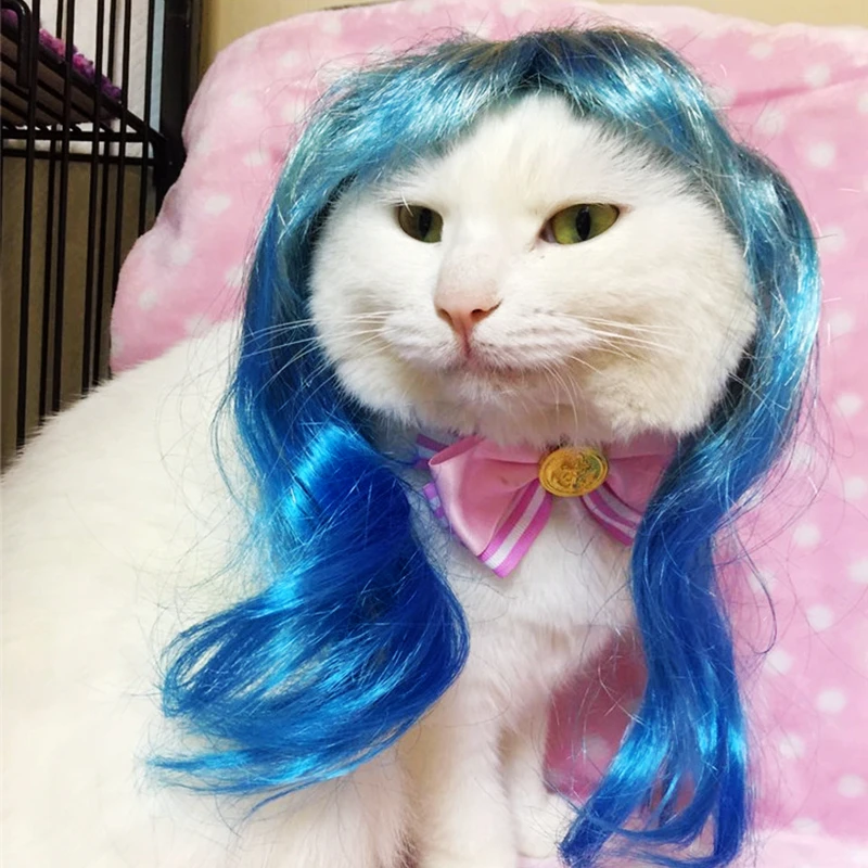 mpk Cat Wigs] Blue And Magenta Wigs For Cats, Cute Cat Costume ...