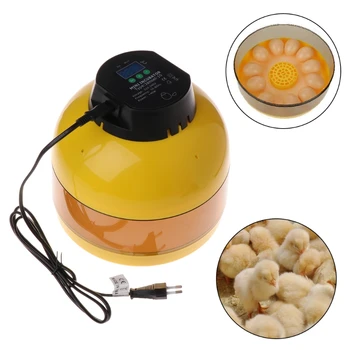 

Egg Incubator Mini 10 Eggs Hatcher Hatchery Chicken LED Digital Temperature EU