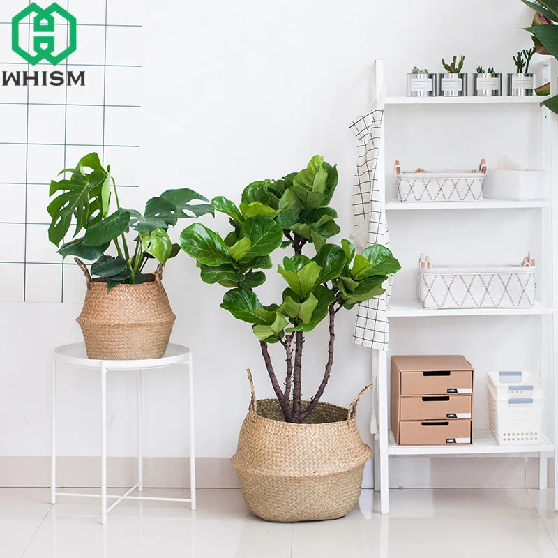 WHISM للطي سلة التخزين اليدوية الروطان أشتات الحاويات الأعشاب البحرية صندوق وجه الآلات الوترية الخوص ماكياج المنظم سلال الغسيل WHISM للطي سلة التخزين اليدوية الروطان أشتات الحاويات الأعشاب البحرية صندوق وجه الآلات الوترية الخوص ماكياج المنظم سلال الغسيل