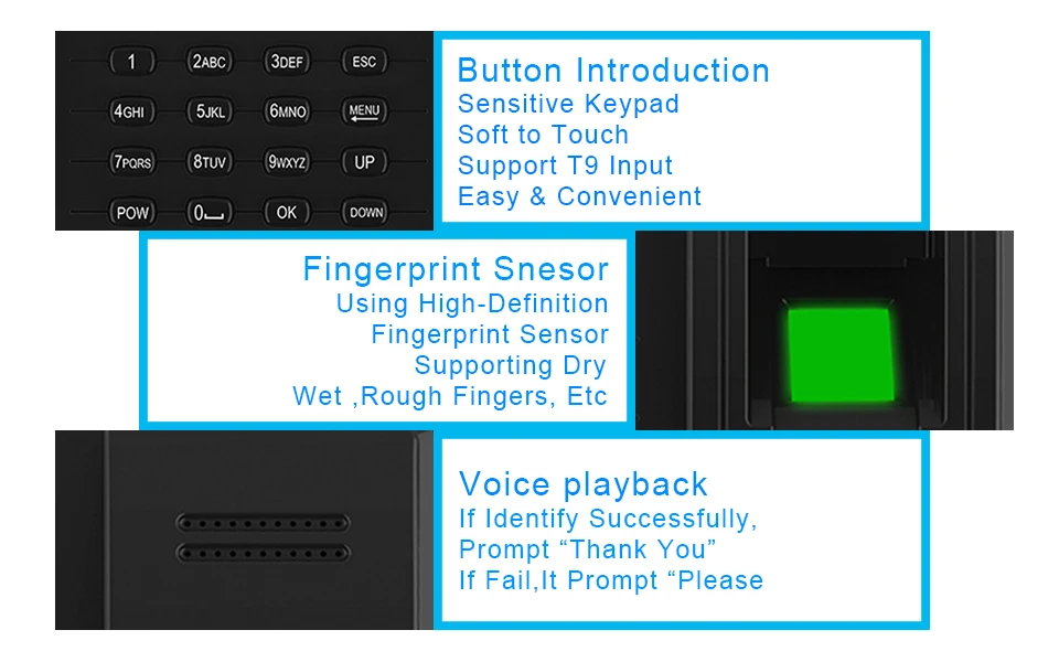 biometric attendance system