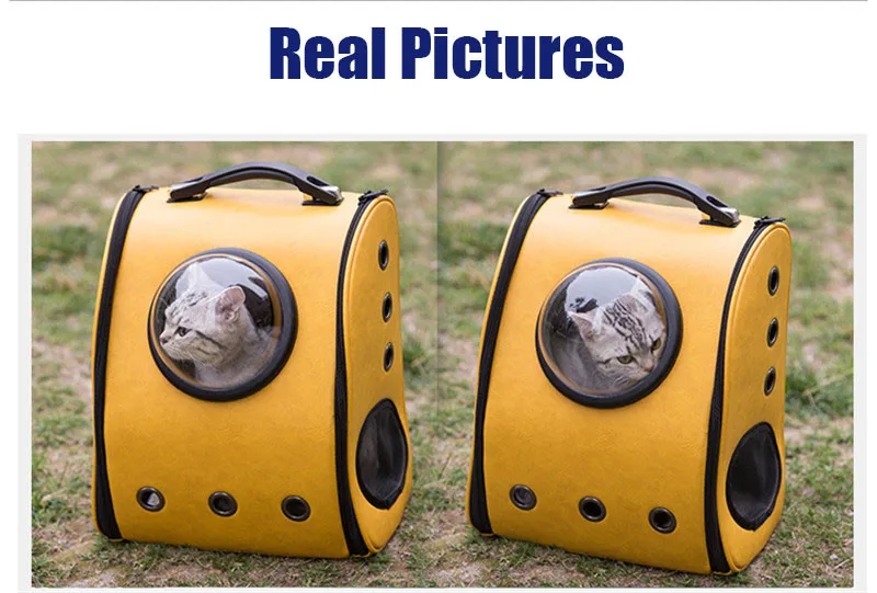 TB2rIVztVXXXXXsXpXXXXXXXXXX_!!435165544