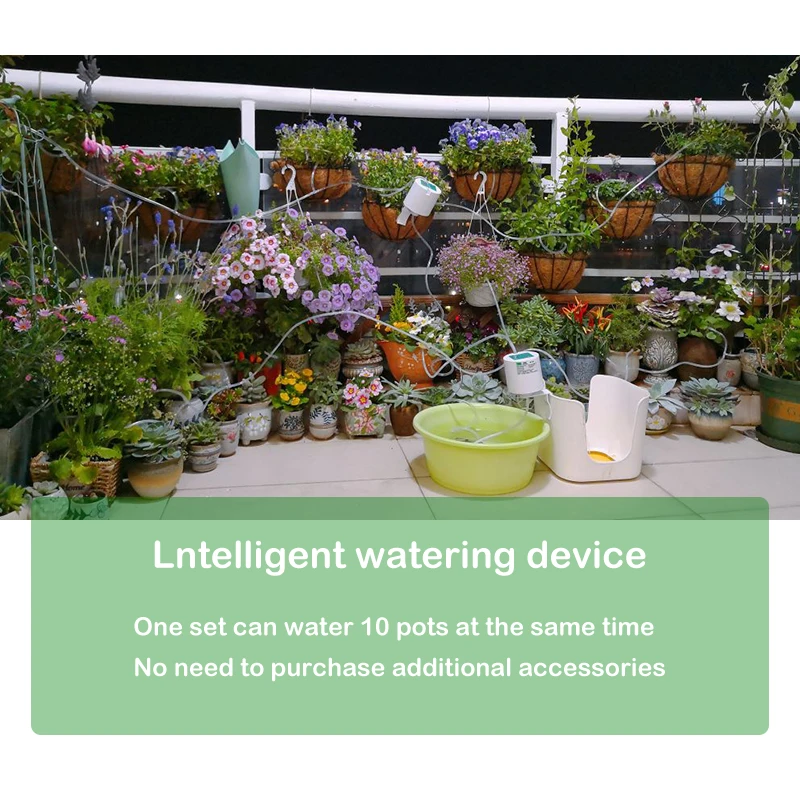 Beste Kopen Intelligente Tuin Automatisch Sproeisysteem Apparaat Vetplanten Planten Druppelirrigatie Tool Waterpomp Timer Systeem Controller Druppelen Pijl Goedkoop Vente9ziw Beste Kopen Intelligente Tuin Automatisch Sproeisysteem Apparaat Vetplanten Planten Druppelirrigatie Tool Waterpomp Timer Systeem Controller Druppelen Pijl Goedkoop Vente9ziw