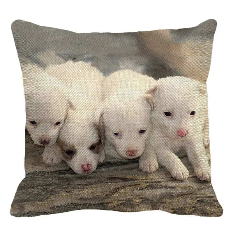 XUNYU милый белый чехол для подушки с изображением собаки, наволочка для дивана, кровати, домашний декор 45 см x 45 см, чехол для подушки C007