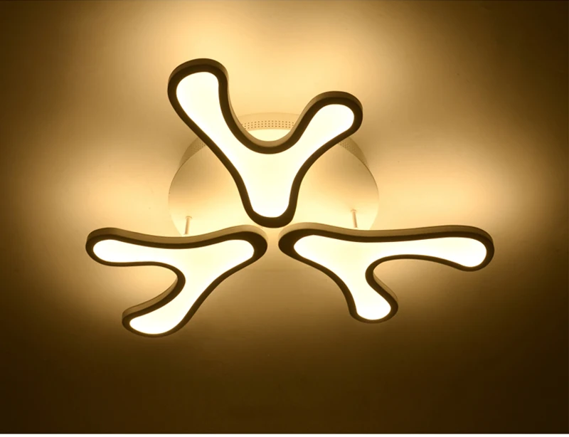 Post modern ceiling lamp (20)