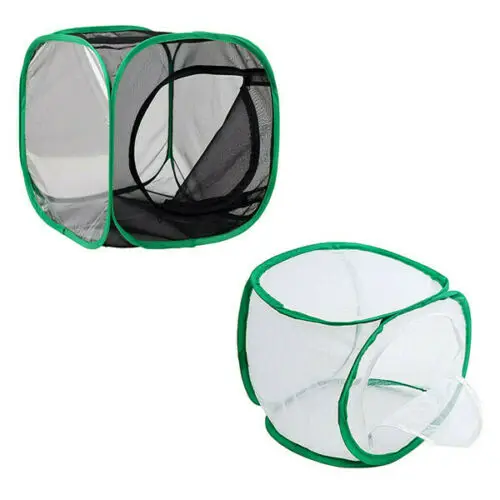New Solid Foldable Mesh Mantis Cage For Insect Butterfly Praying