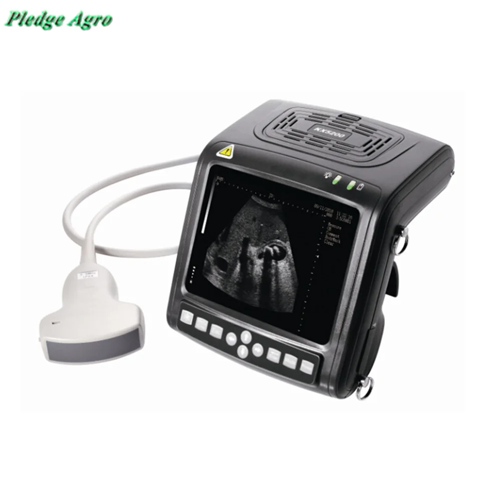 

B Mode Veterinary Instrument Vet Ultrasound Scanner for Big Animal Horse Cattle Camel Portable Pregnacy Test Device Livestock
