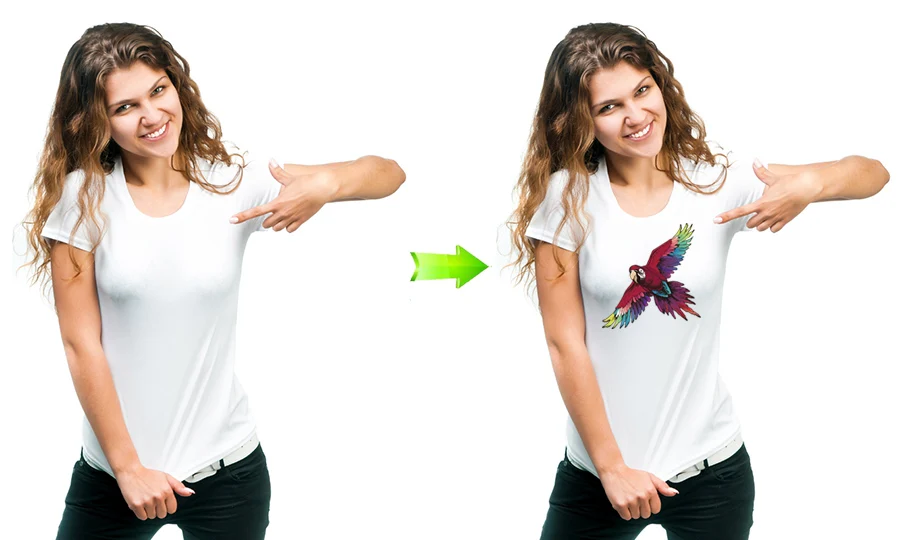 5-Color Eagle Sticker Patches Print On T-Shirt Washable Clothes Decoration New Design Diy Accessory Iron-On Transfers