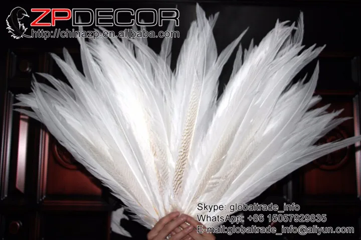  silver pheasant feathers  (6)