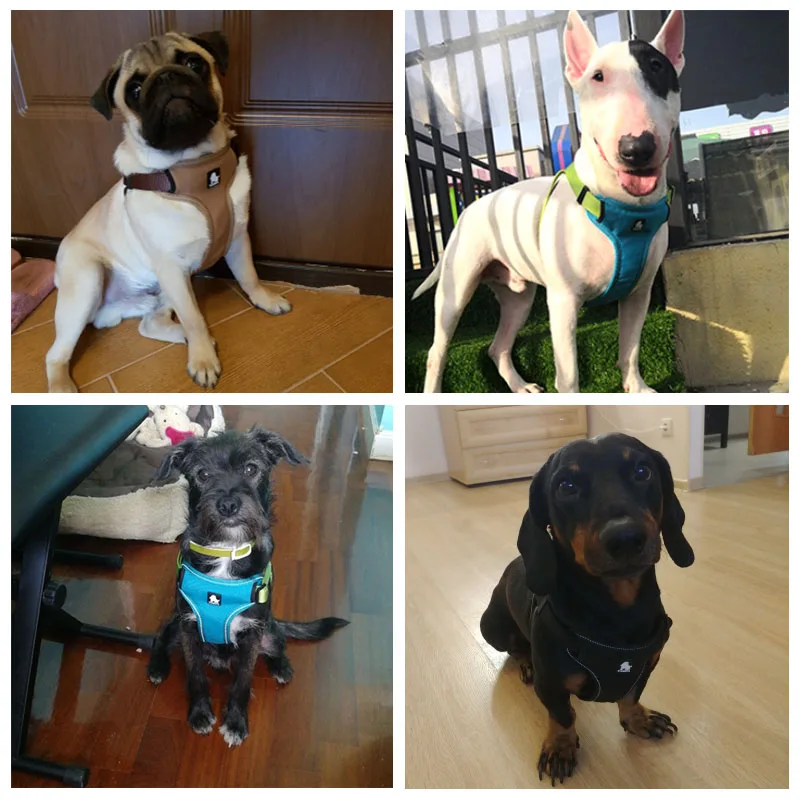 MySudui Truelove Medium Small Dog Harness Dog Harness Vest Strap Adjustable Reflective Puppy Pitbull Chihuahua Dog Accessories