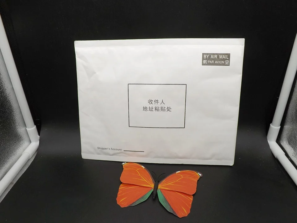 I226-Butterfly (13)