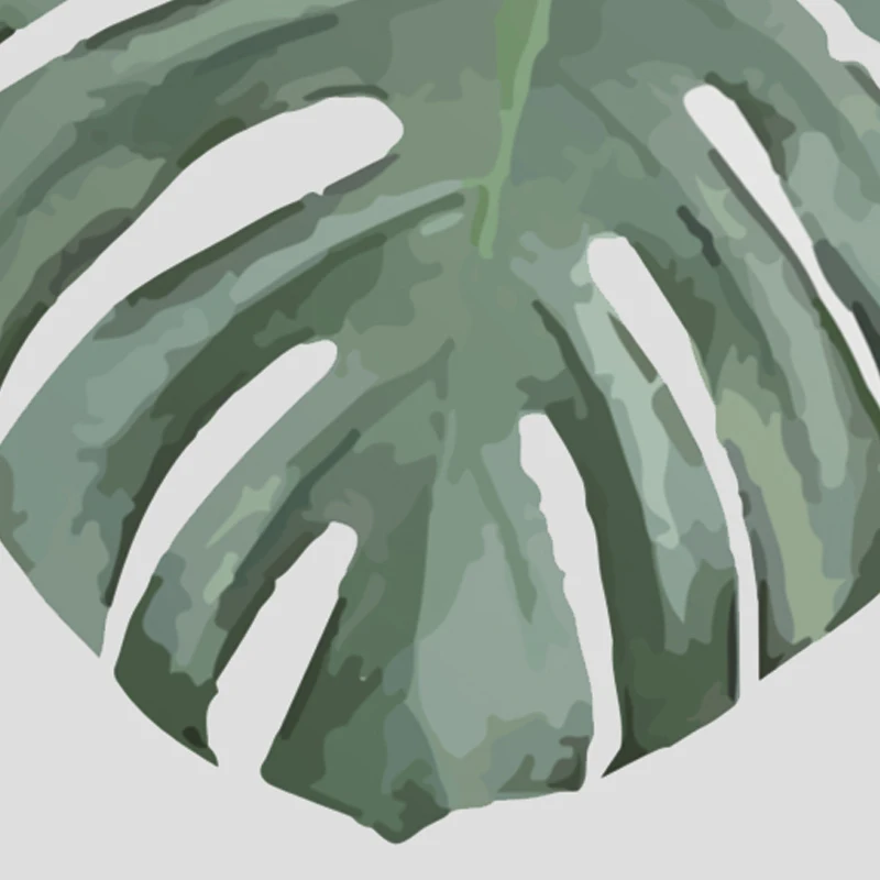 monstera_deliciosa_3-2 - 
