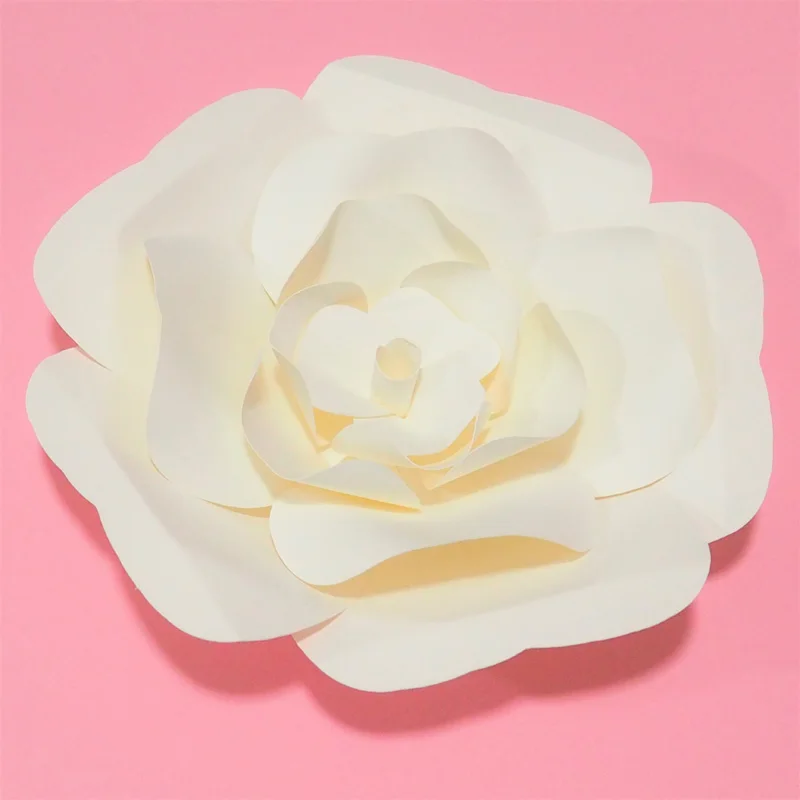 P4302625