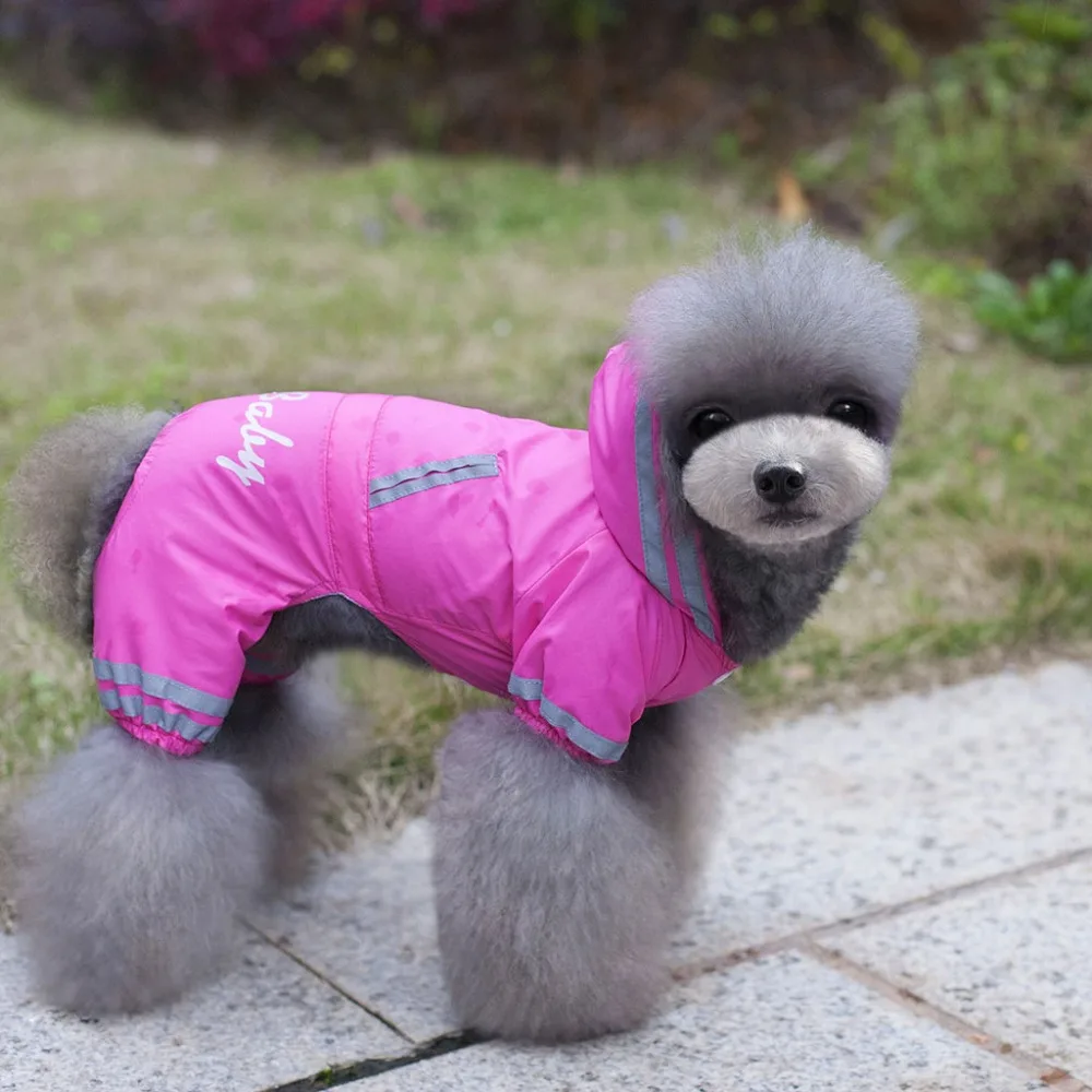 4083840663_109569990