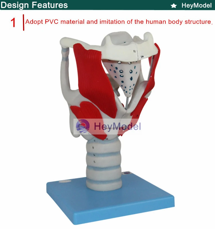 1.PVC_