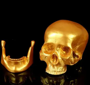 

Halloween simulation of the skull head resin skull medical model scene layout movie props