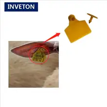 Большой диапазон скота отслеживания распознавания системы PU материал водостойкий rfid животных ухо тег для Свиньи/Овцы/крупного рогатого скота