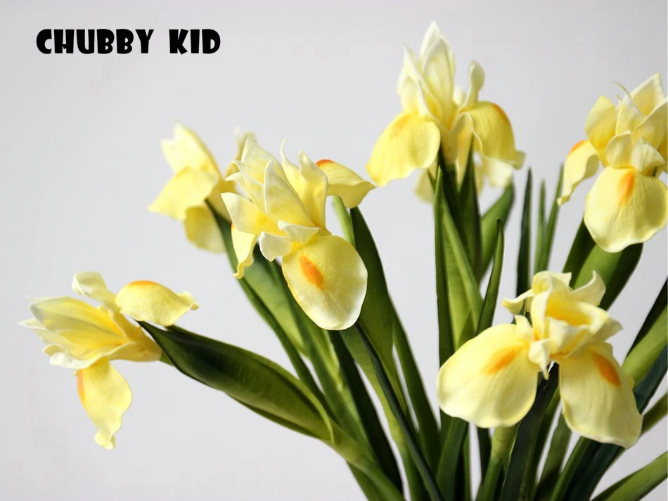 8968643693_1074659659