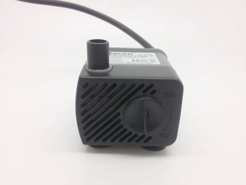 zz19