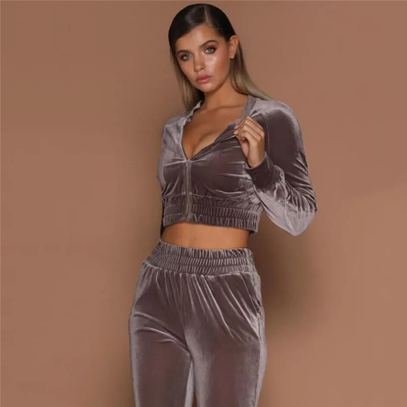 

2018 Autumn Keep Warm Solid Long Sleeve Zip Hoodies Sweatshirts casual tracksuit women pleuche top and pants 2 piece set