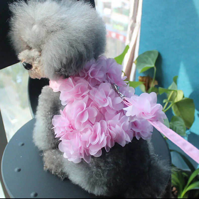 Cute Flower Pet Dog Harness Vest Outdoor Walking Dog Leash Harness Set 1 inch Width Small Dog Harness Chihuahua Pet Leads