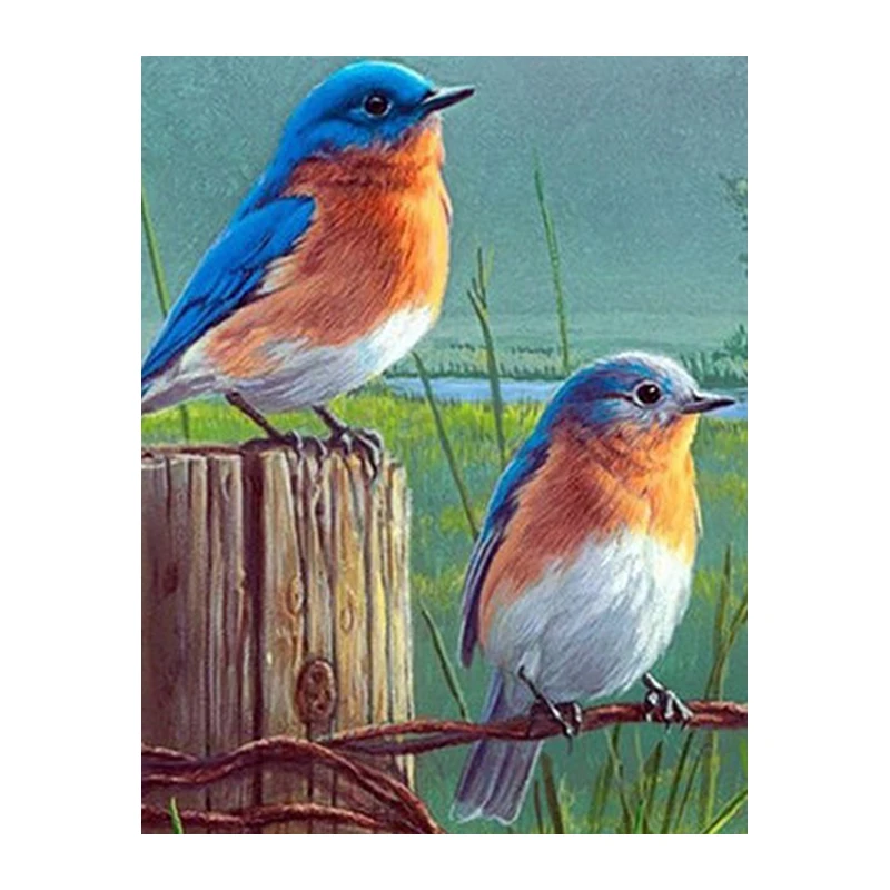 Diamond Embroidery Full Diamond Paintings Cross-Stitch Rhinestone Mosaic birds on the stakes sticker decoration Decor