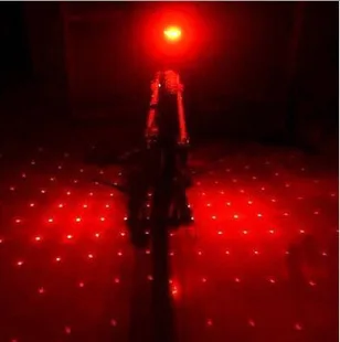 rear light (33)