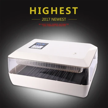 

Wholesale Egg Incubator Poultry Incubator Brooder Digital Temperature Hatchery Egg Incubator for Hatcher Chicken Duck Bird