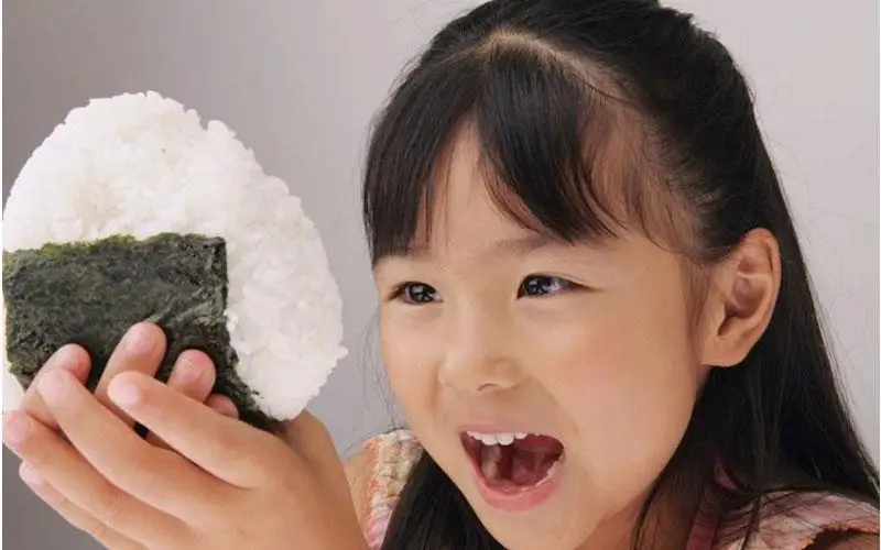 5 комплектов Форма Плесень Суши DIY Onigiri Райс Бал Бенту Пресс чайник пресс-формы#56978