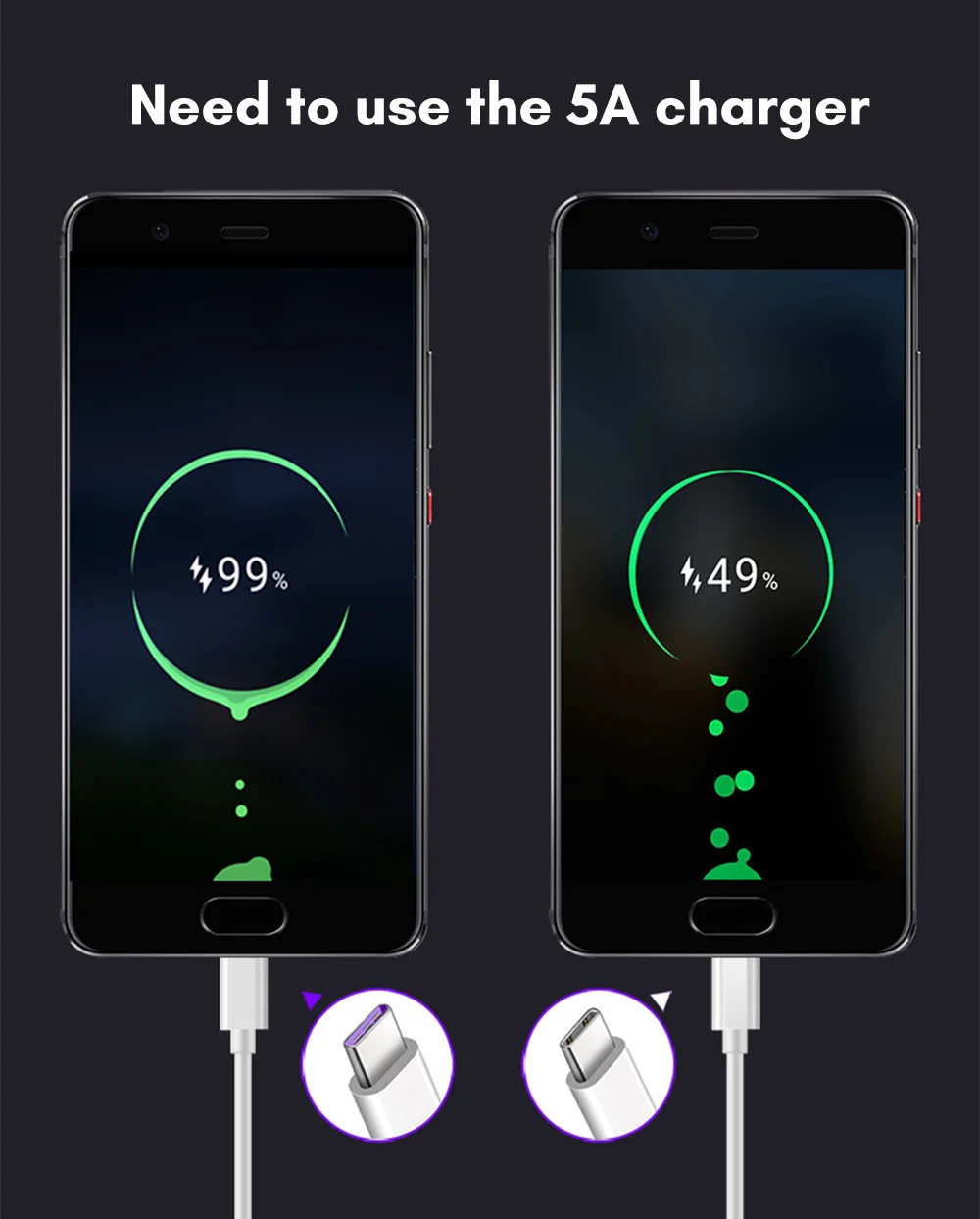 9058599239_1845310902