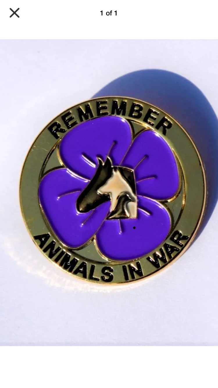 

25mm diameter metal badge pin plated in nickle