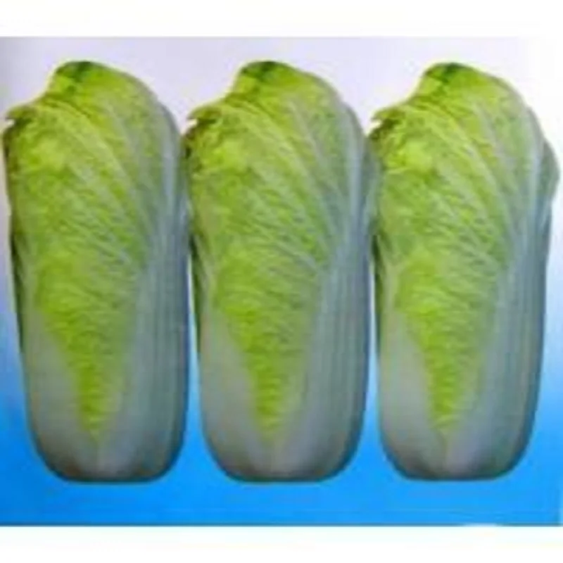 

Beijing autumn baby food bonsais vegetable bonsais 100pcs