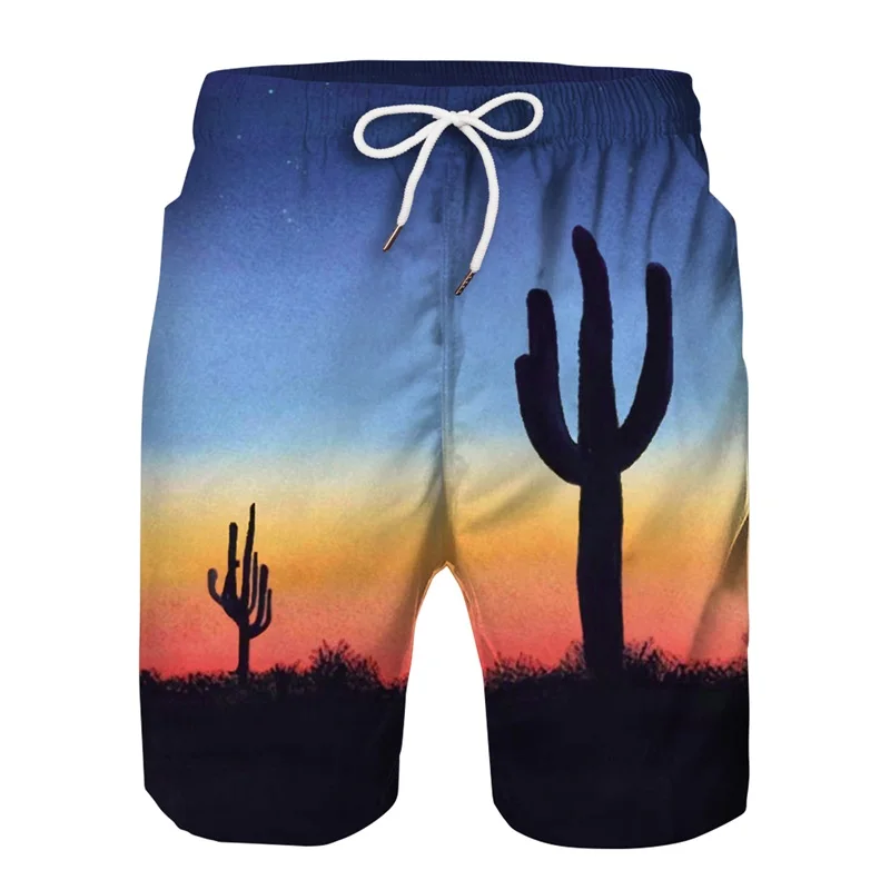 2019 летние мужские s Siwmwear мужские пляжные шорты с принтом для серфинга Бермуды для мужчин брендовые шорты пляжные шорты для плавания