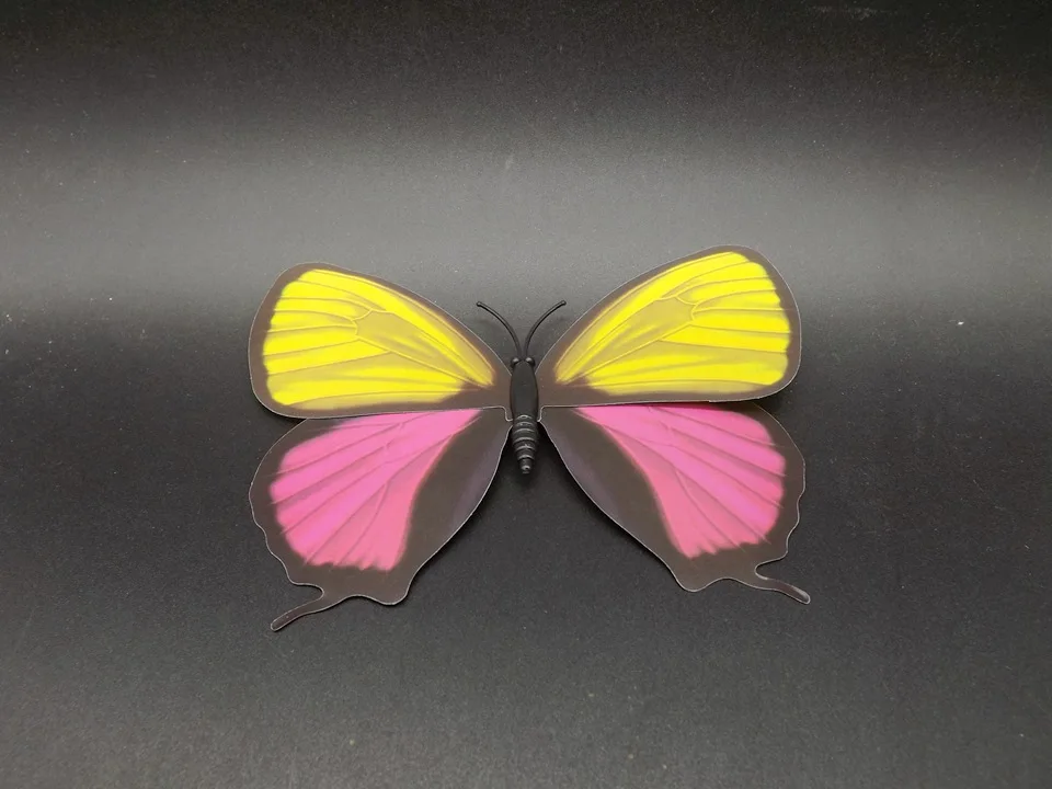 I236-Butterfly (5)