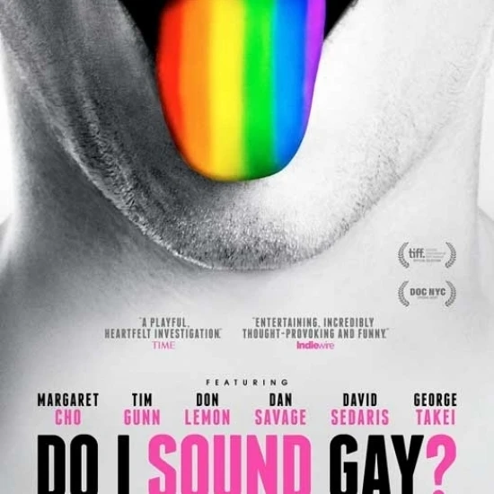 Do I Sound Gay? Movie Poster (27 x 40)