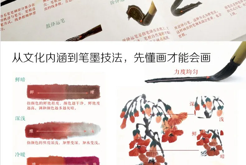 TB24TNnoVXXXXa9XpXXXXXXXXXX_!!2591108390