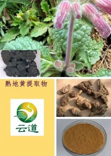 

Details about Prepared Rhizome Of Radix Rehmannia P.E. Root Extract 20:1 rehma-glutin 1 Kilo