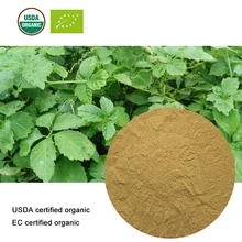 Сертифицированный USDA и EC органический экстракт Gynostemma 20:1 Gypenoside
