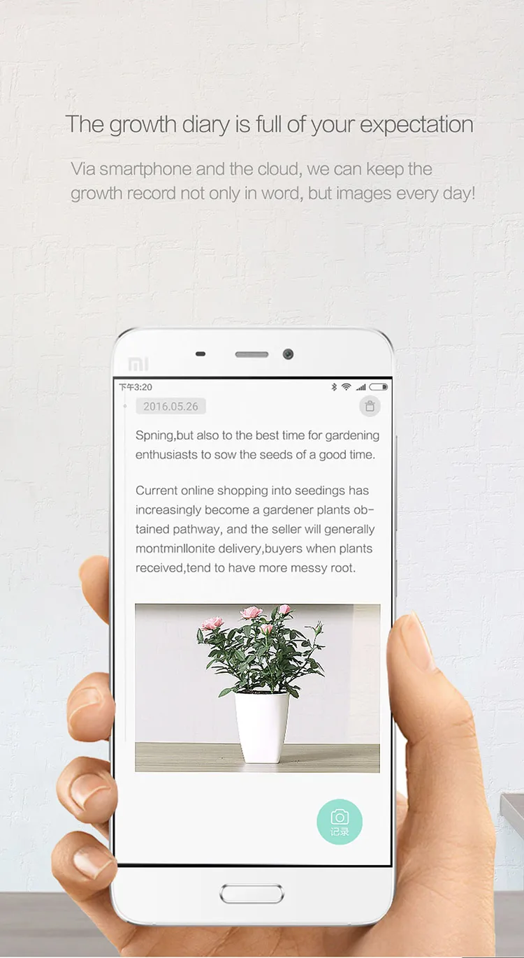 Xiaomi Mi монитор флоры цифровые растения Трава цветок уход почвенная вода светильник Смарт тестер сенсор оригинальная международная версия