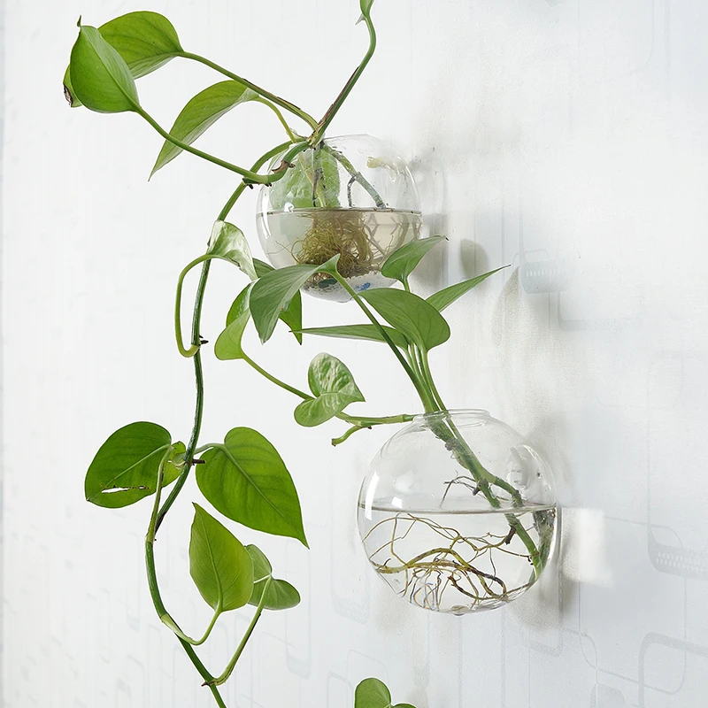 

Wall Hanging Round Shape Glass Hydroponic Vase green radish Flower Plant Container Water Plant Tank Wedding Home Decoration