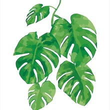 MOLEK DIY картина маслом по номерам комплект зеленые листья Monstera современная акриловая живопись на холсте Современный домашний декор Настенная картина