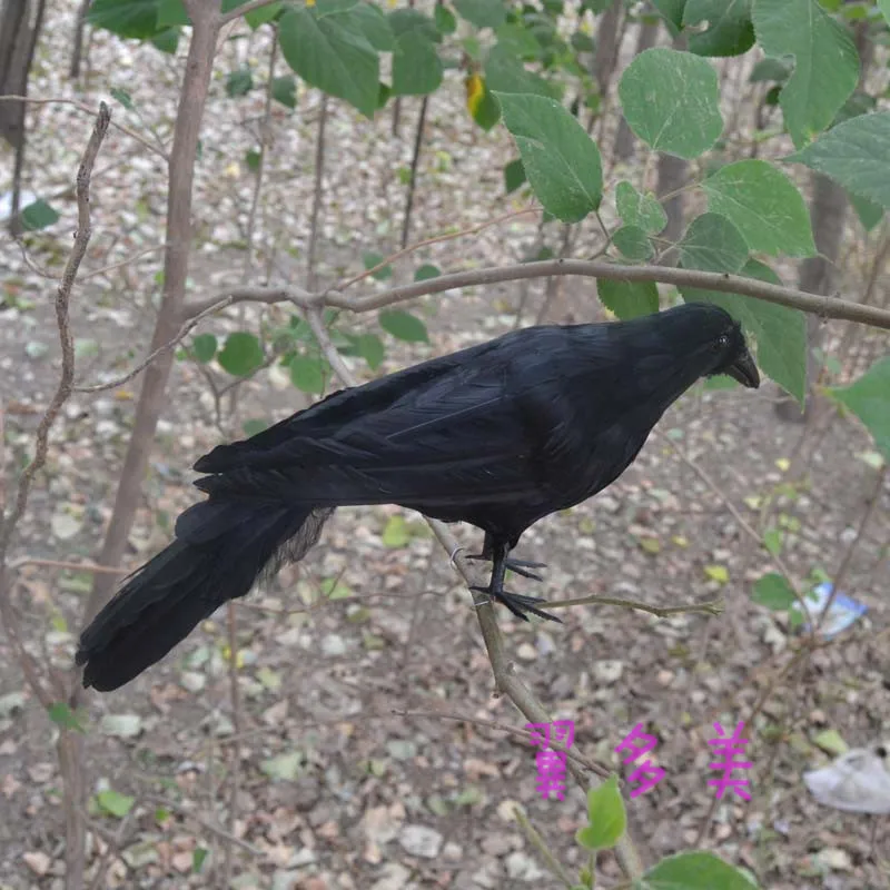 

creative new simulation standing crow toy lifelike black crow model doll gift about 30cm