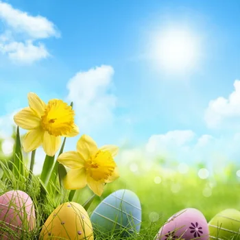 

HUAYI 5x5ft Happy Easter Eggs Theme Art fabric Backdrops For Studio Newborn Photography Backgrounds D-4887