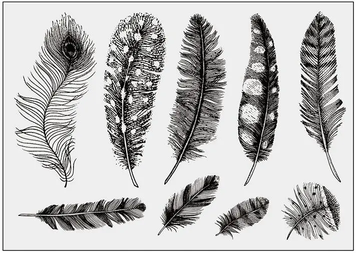

feather Stamp/Seal for DIY scrapbooking/photo album Decorative clear stamp sheets A1883