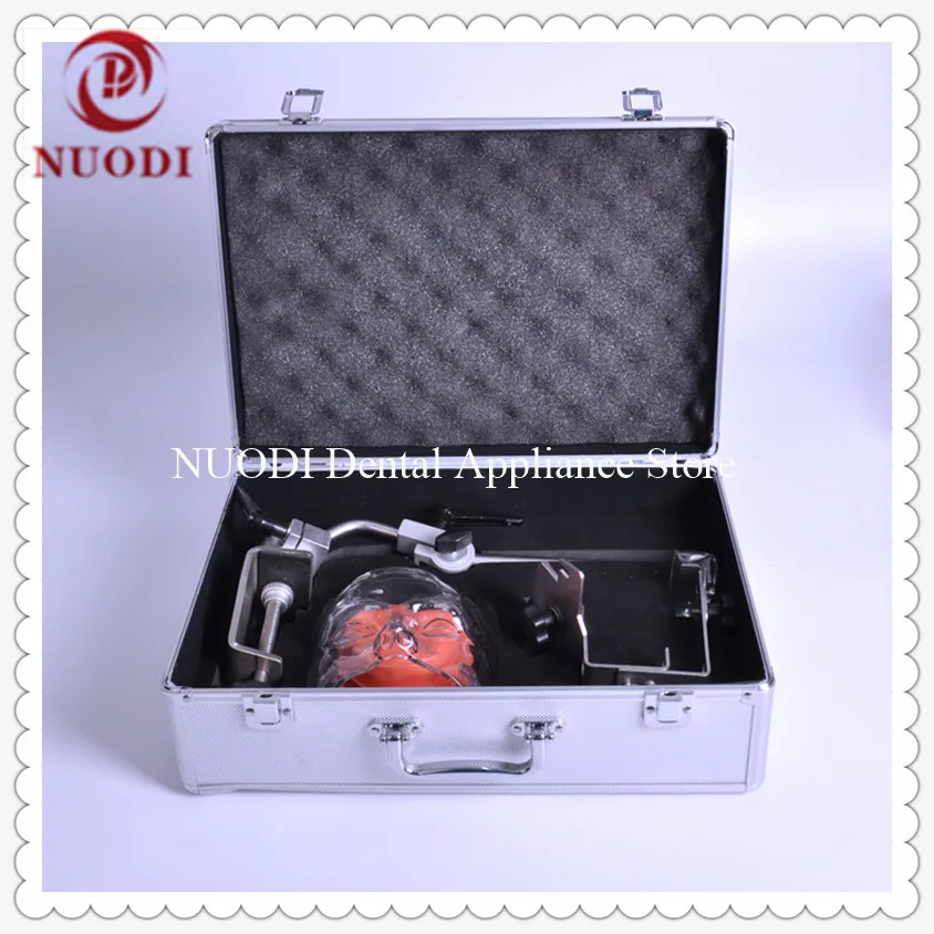 

Simple Dental Simulation Practice Manikin M1005/simple Dental Manikin/Dental Traning Head Model Manikin