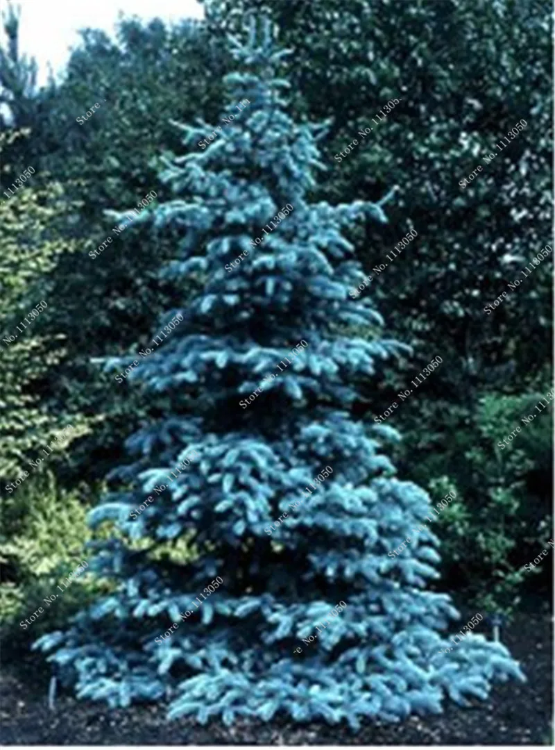 aluminum christmas trees tv tropes autos post aluminum christmas trees tv tropes autos post