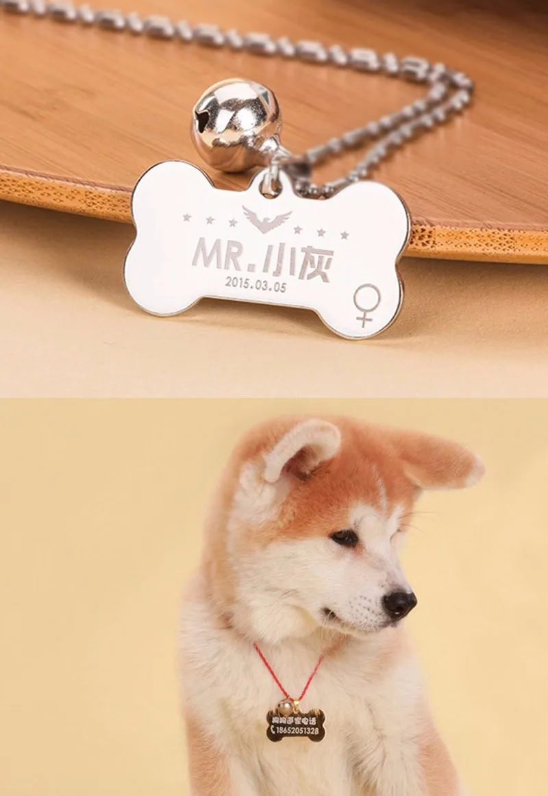 dog tag (3)